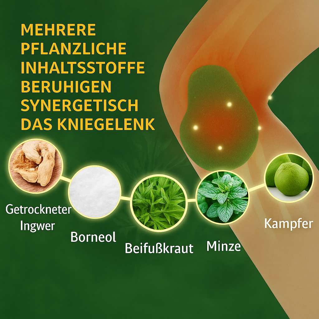 Wellnee Schmerzlinderungspflaster